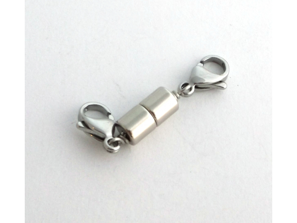 Silver Tone Magnetic Converter
